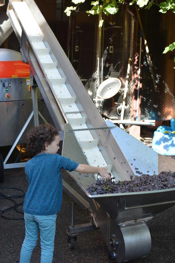 Chez Myriam Chez Le Vigneron